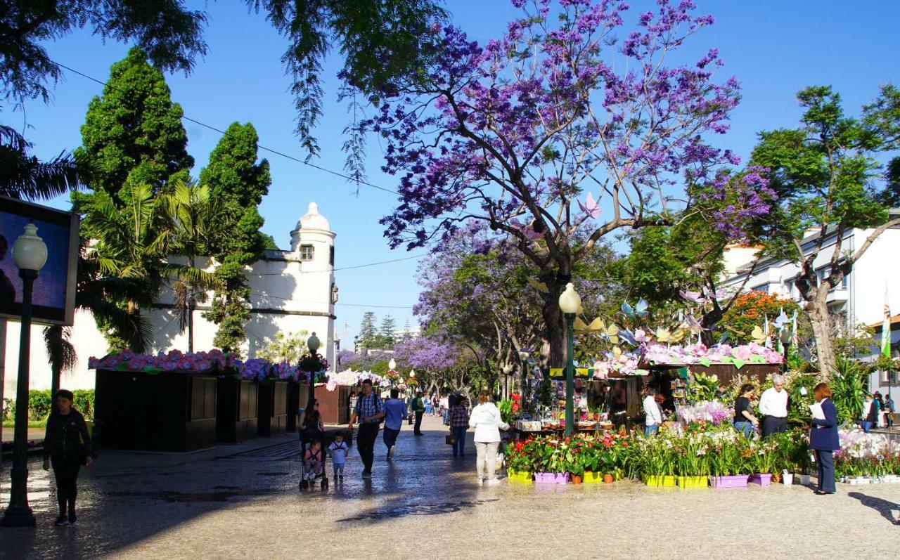 Pimenta Downtown * Funchal (Madeira)